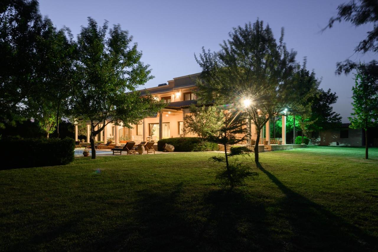 Belvedere Villa *