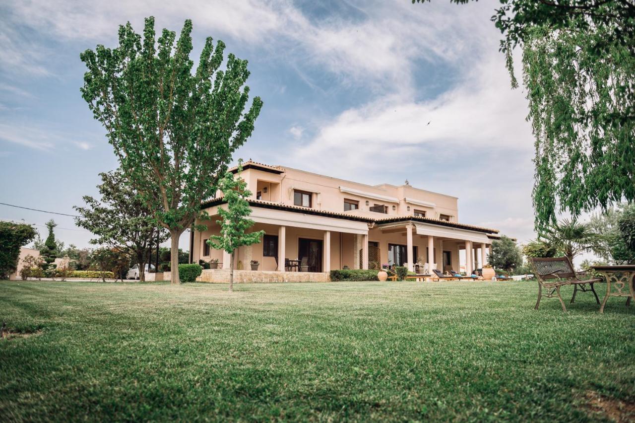 Belvedere * Alexandroupoli