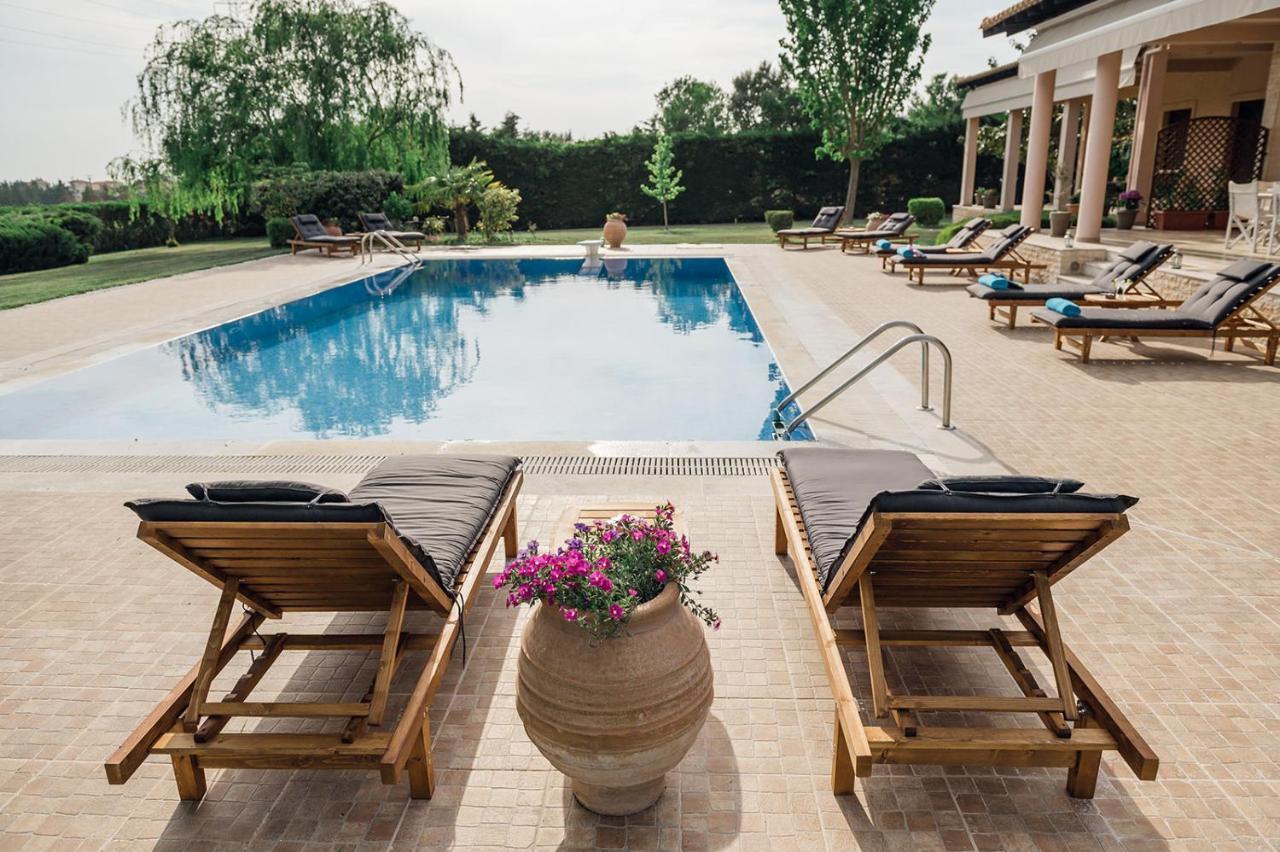 Belvedere * Alexandroupoli